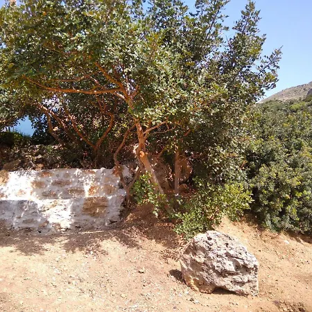 Holiday home Roussa's House